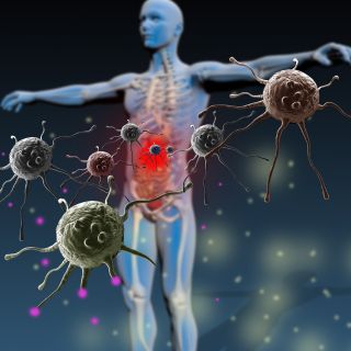 Versterking van het immuunsysteem